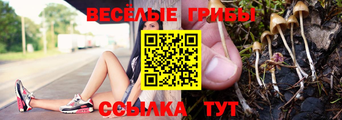 Галлюциногенные грибы Psilocybe  Вход с VPN  Псилоцибиновые грибы мухоморы  Междуреченск 